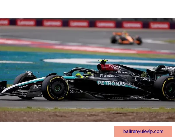 费尔斯塔彭力压汉密尔顿夺得F1赛季关键分站冠军解析